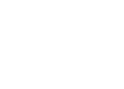 Logo MCS Exotic