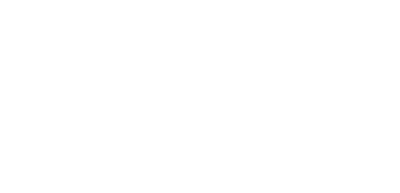 Logo Mirvog